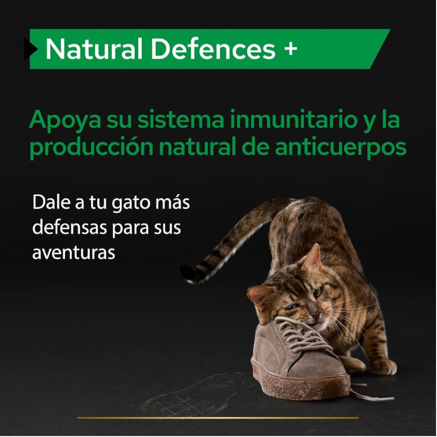 60 g Pro Plan Natural Defences + para gatos, , large indicador imagen numero 3