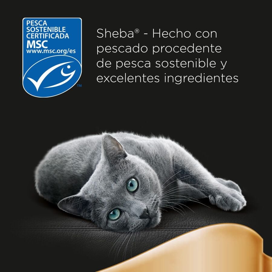 4 sobres x 85 g Sheba Delicatezze Selecci&oacute;n Mixta Gelatina en Bolsita para Gatos , , large indicador imagen numero 7