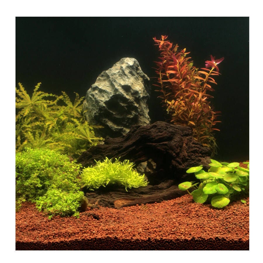 JBL Manado Sustrato natural para acuarios de agua dulce, , large Imagen numero 3