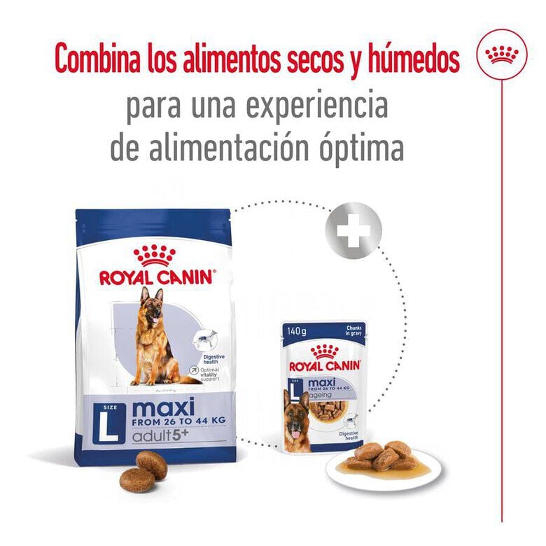 15 kg Royal Canin Maxi Adult 5+ pienso para perros senior de raza grande, , large indicador imagen numero 10