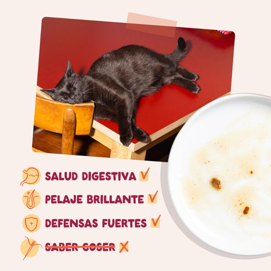 85 g Edgard & Cooper Pollo sobre en salsa para gatos, , large indicador imagen numero 4