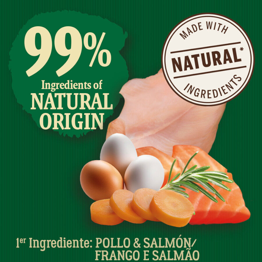 2 kg True Origins Wild Kitten Country Water Pollo y Salm&oacute;n pienso, , large indicador imagen numero 3