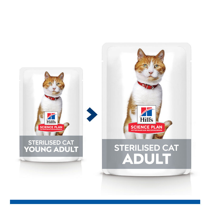 12 sobres x 85 g Hill's Science Plan Sterilised Carne y Pescado sobre para gatos , , large indicador imagen numero 6