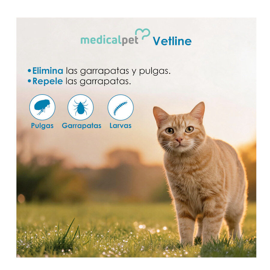 Medicalpet Vetline Collar Antiparasitario para gatos, , large indicador imagen numero 4