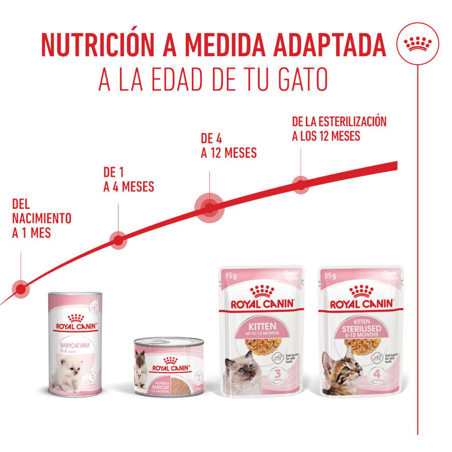 85 g Royal Canin Kitten comida h&uacute;meda en gelatina sobre para gatos&nbsp;, , large Imagen numero 6