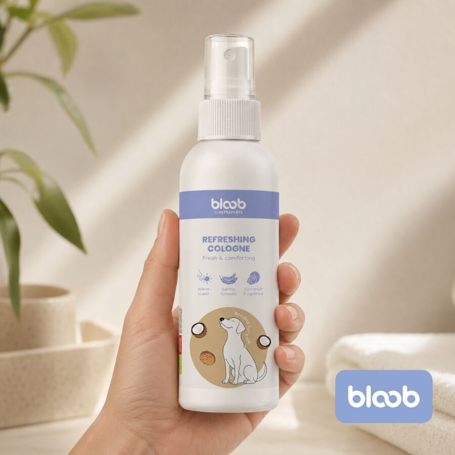 Bloob Colonia Refrescante Coco para perros