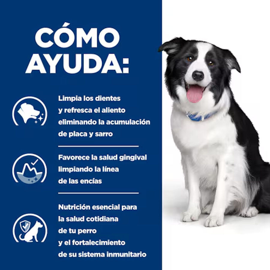 10 kg Hill's Prescription Diet t/d Dental Care Pollo pienso para perros medianos, , large indicador imagen numero 4