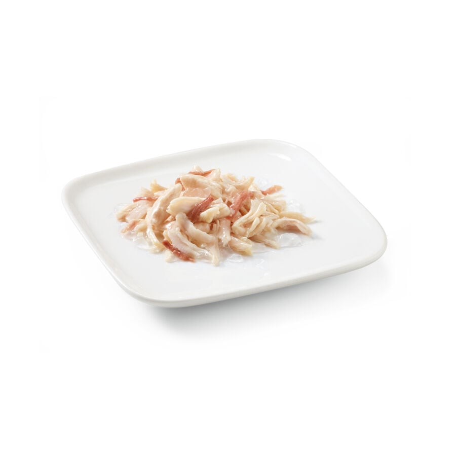 150 g Schesir Adult at&uacute;n en gelatina lata para perros, , large indicador imagen numero 2