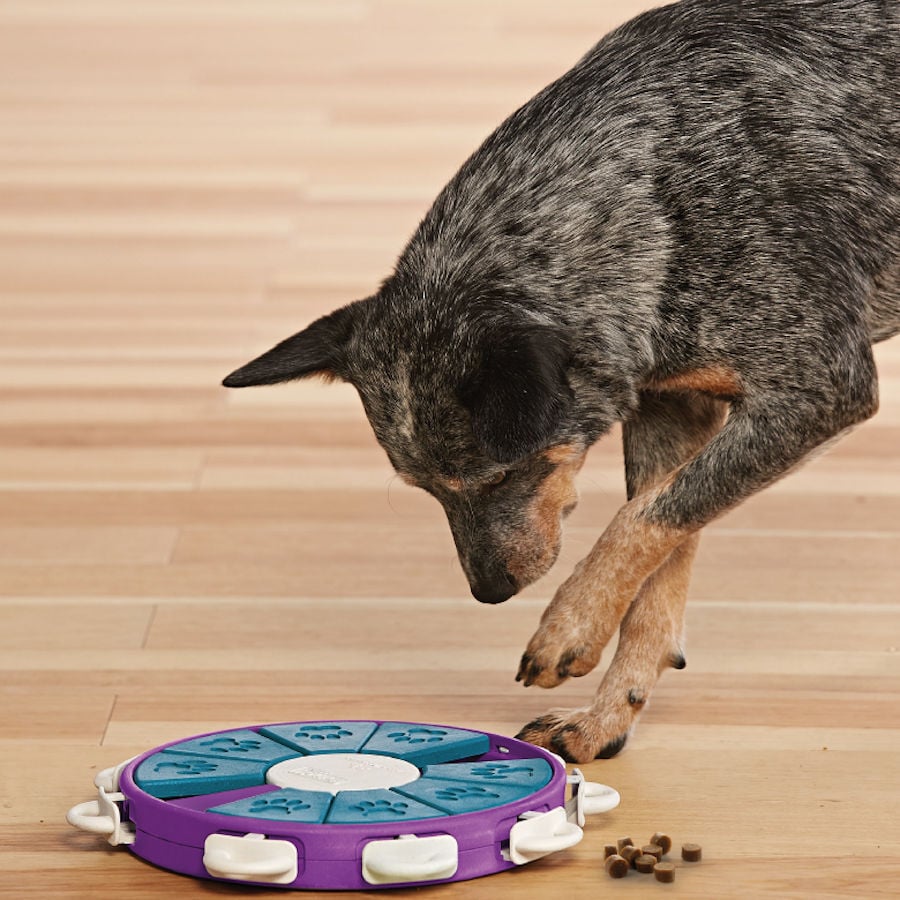 Outward Hound Twister Juguete de Inteligencia para perros, , large Imagen numero 3