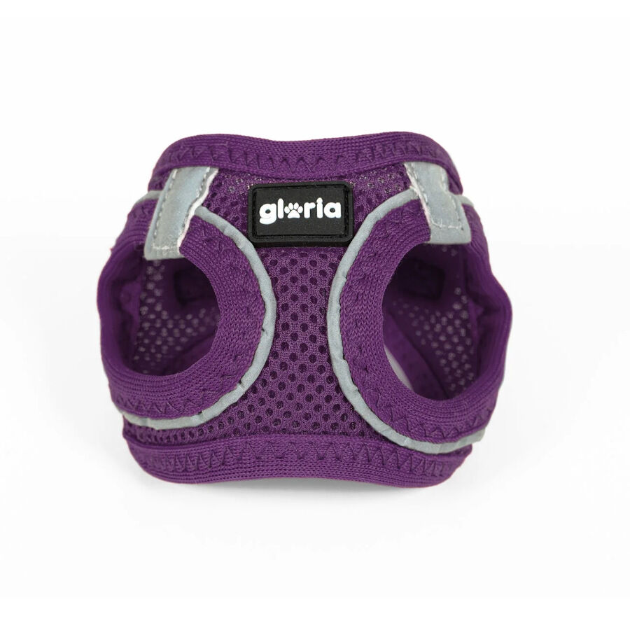 Gloria Air Mesh Trek Star Arn&eacute;s Morado para perros, , large indicador imagen numero 1