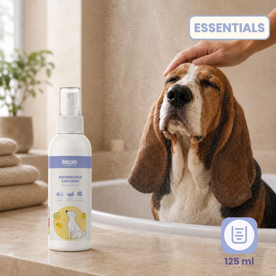 Bloob Colonia Refrescante Yuzu para perros, , large Imagen numero 6