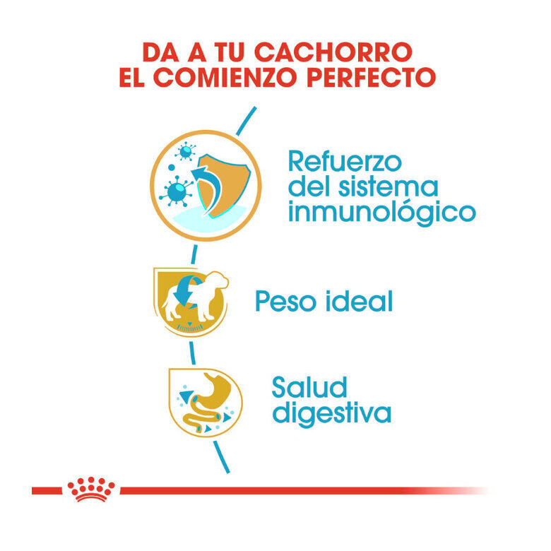 1.5 kg Royal Canin Puppy Miniature Schnauzer pienso para perros, , large Imagen numero 7
