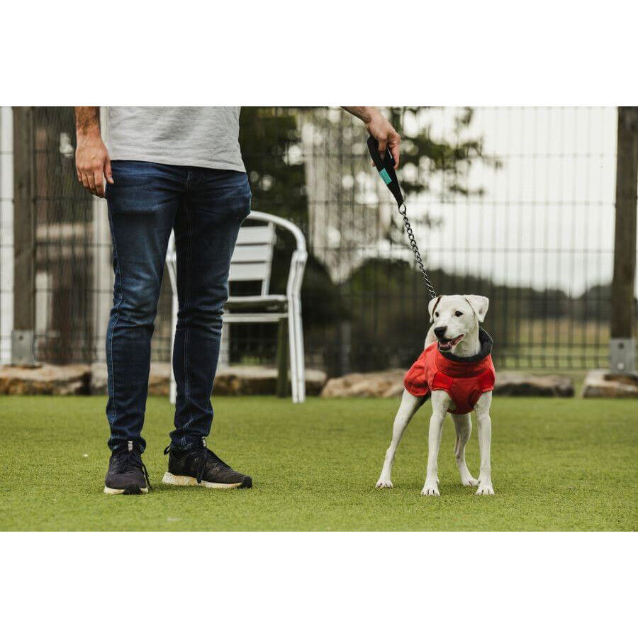 Freedog Oymyakon Rojo Abrigo Impermeable con Arn&eacute;s para perros, , large Imagen numero 3