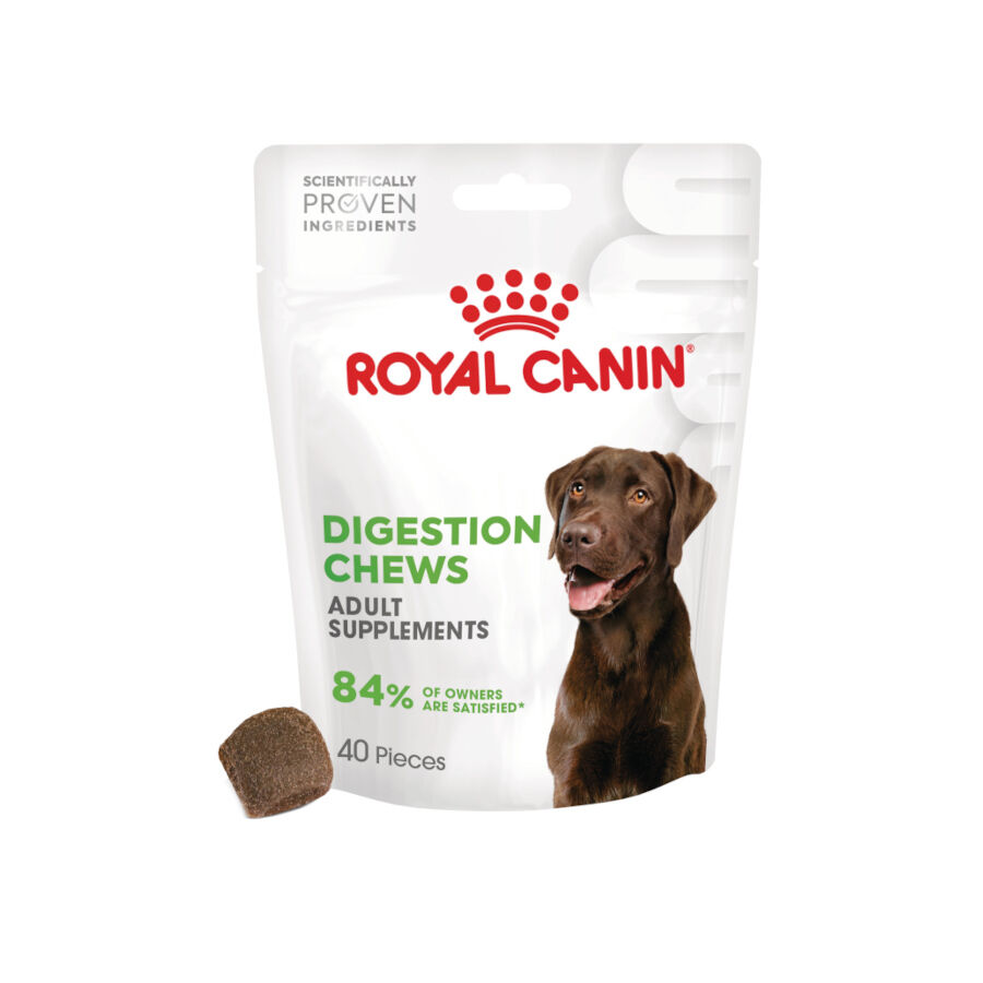 160 g Royal Canin Digestion Chews Suplemento Nutricional para perros con sensibilidad, , large Imagen numero 1