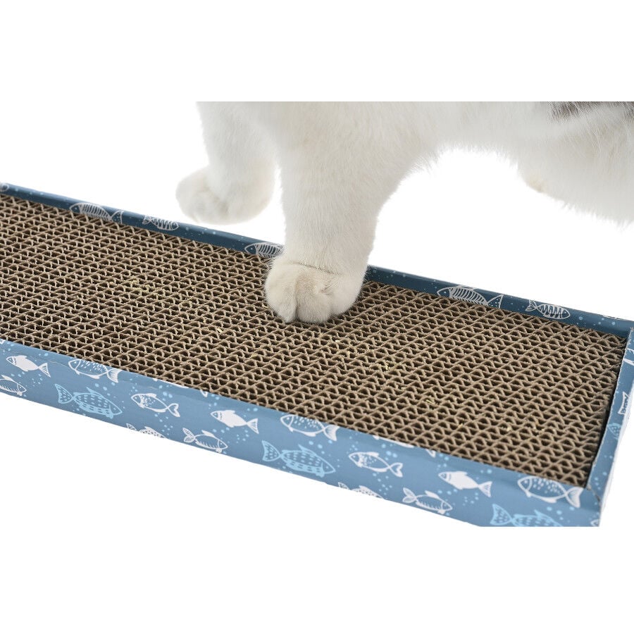Leeby Fitz tabla rascador de cart&oacute;n azul para gatos, , large Imagen numero 3