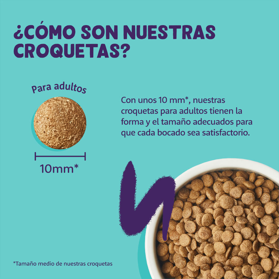 4 kg Edgard & Cooper Adult Salm&oacute;n pienso para gatos, , large indicador imagen numero 4