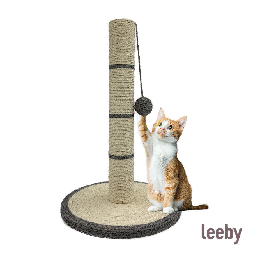 Leeby Isidoro rascador de sisal con juguete gris para gatos, , large indicador imagen numero 2