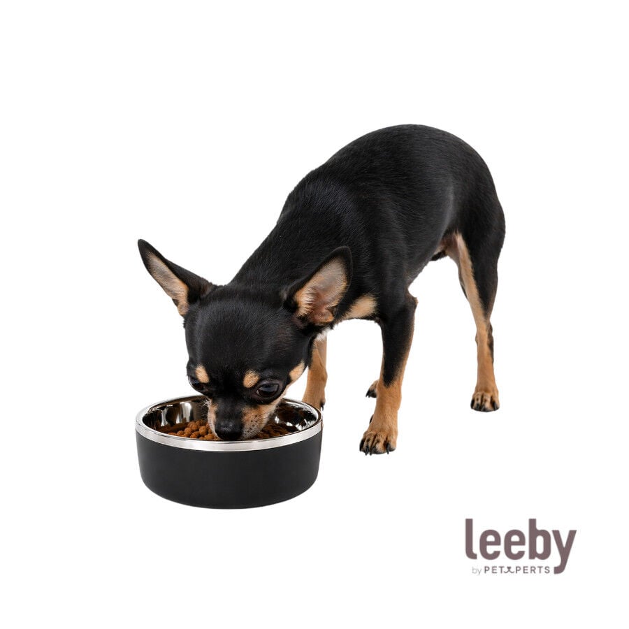 Leeby Comedero Acero Inoxidable para perros y gatos