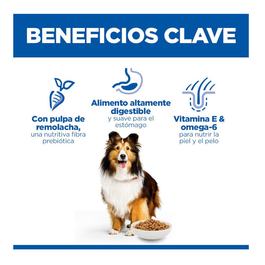 14 kg Hill's Science Plan Sensitive Stomach y skin Adult Pollo pienso para perros, , large indicador imagen numero 3