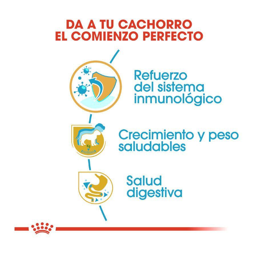 12 kg Royal Canin Puppy Labrador Retriever pienso para perros, , large Imagen numero 6