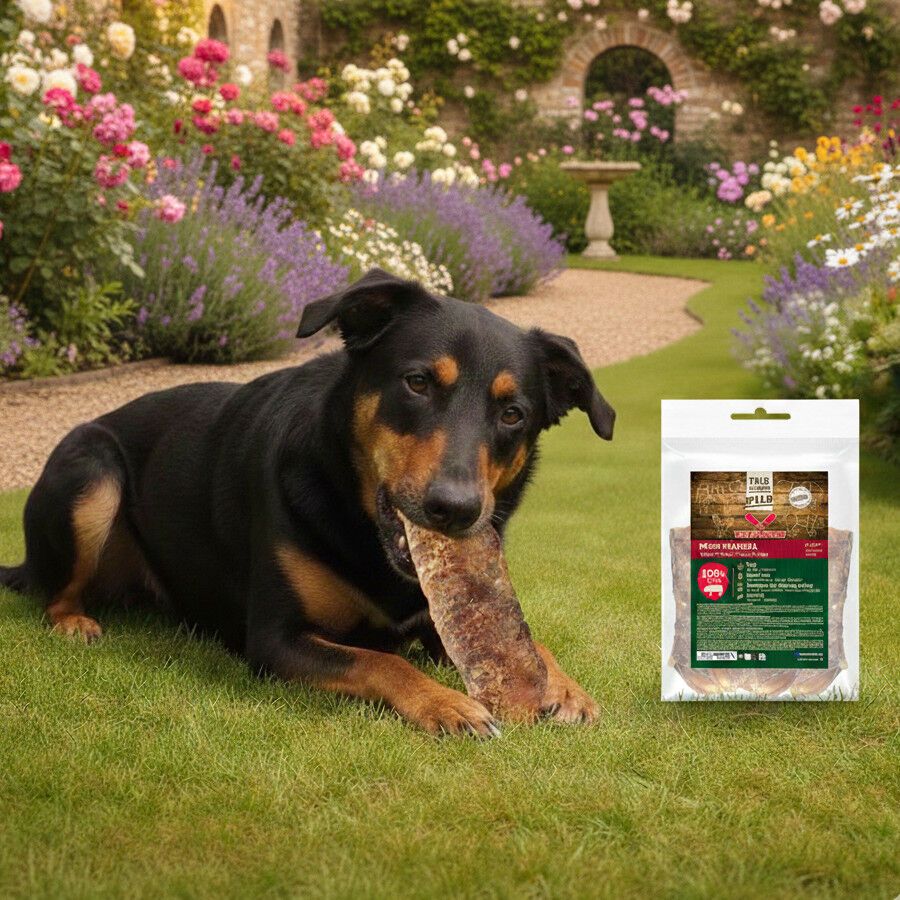 Pack 5 uds. True Origins Wild Tr&aacute;quea Cerdo Snack para perros, , large indicador imagen numero 1