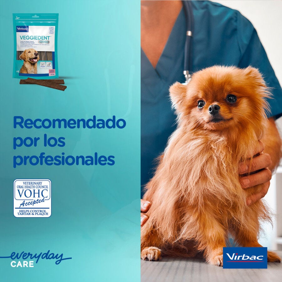 15 barritas Virbac Snacks Dentales VeggieDent Fresh para perros Toy, , large Imagen numero 9