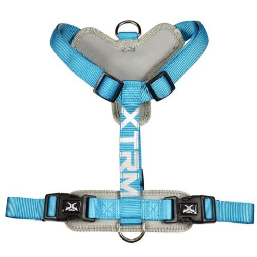 X-TRM Cronos Ne&oacute;n Arn&eacute;s Azul para perros