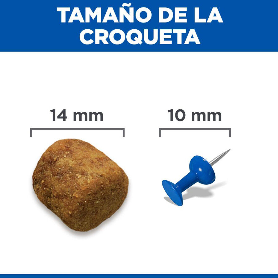 14 kg Hill's Science Plan Adult Large Cordero pienso para perros, , large Imagen numero 9