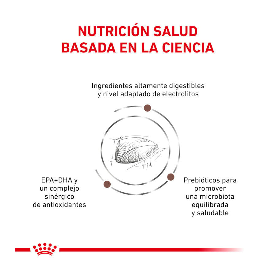 4 kg Royal Canin Veterinary Gastrointestinal pienso para gatos, , large Imagen numero 2