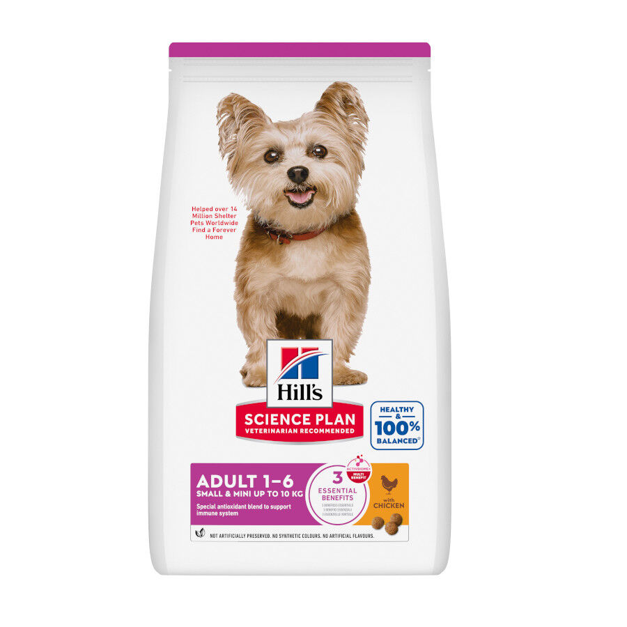 10 kg Hill's Science Plan Adult Small y Mini Pollo pienso para perros, , large indicador imagen numero 1