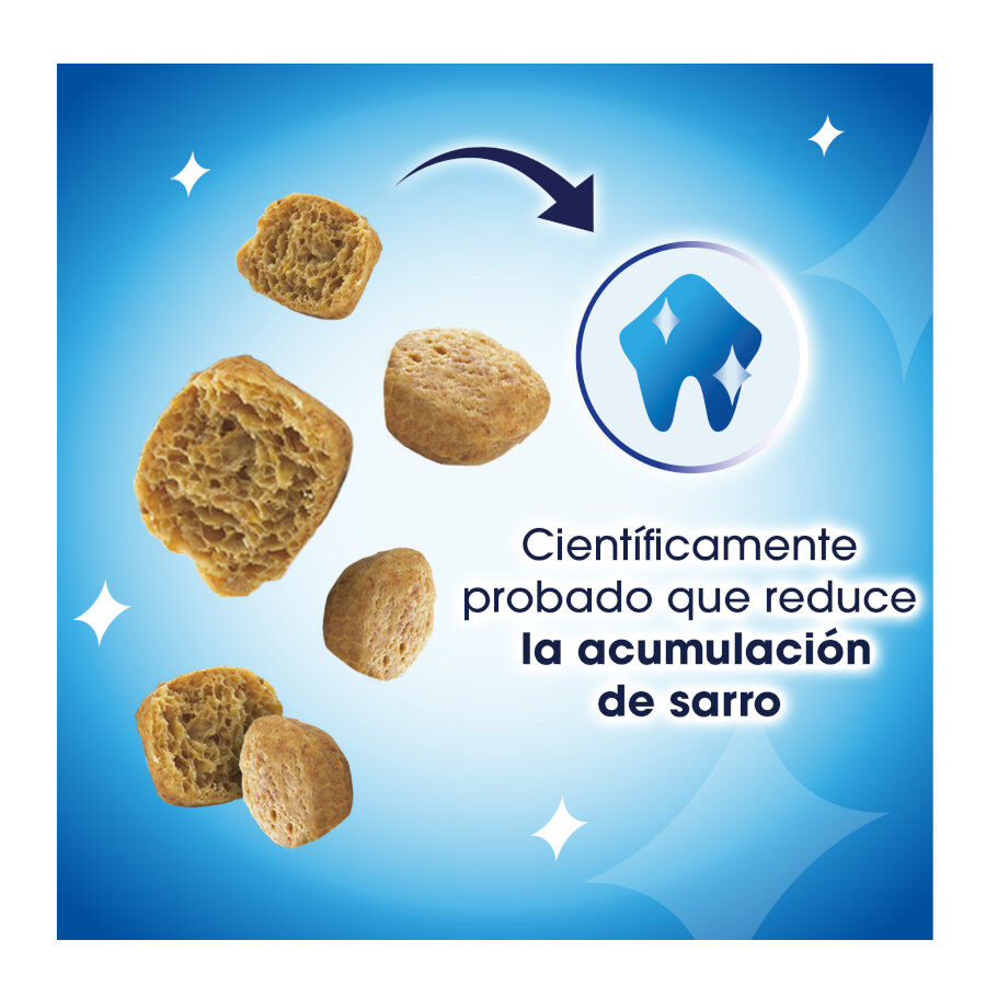 40 g Dentalife Snack Dentales Pollo para gatos, , large Imagen numero 3