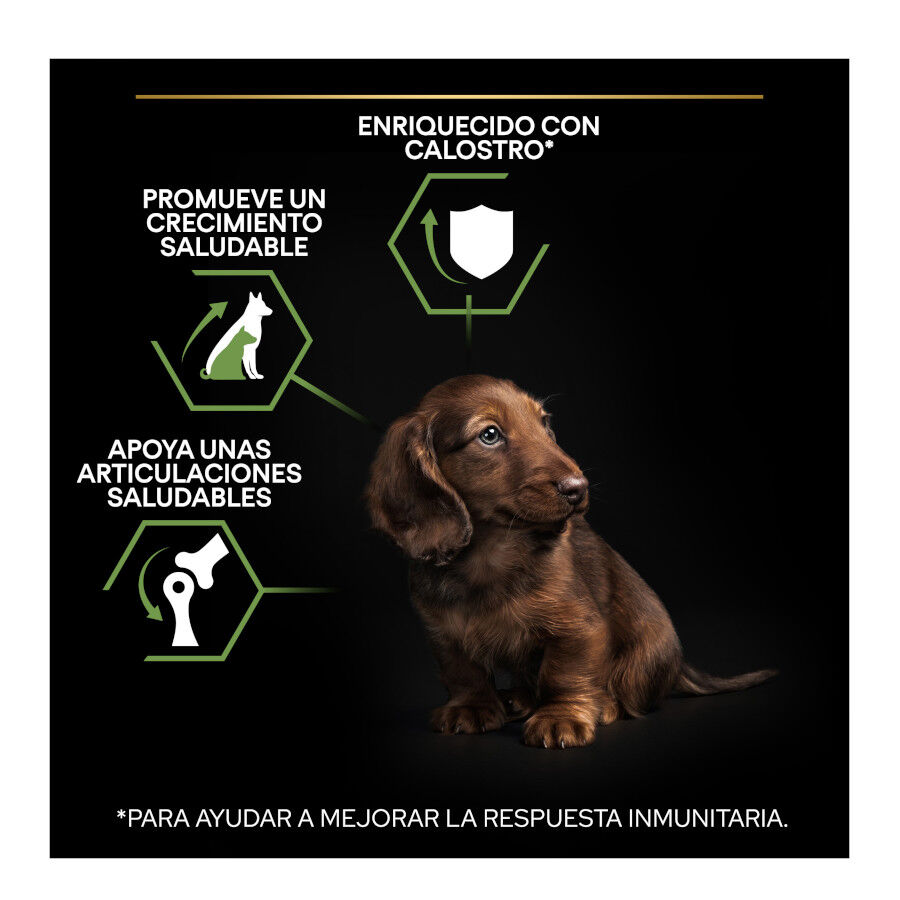 3 kg Pro Plan Puppy Small y Mini Pollo pienso para perros, , large Imagen numero 3