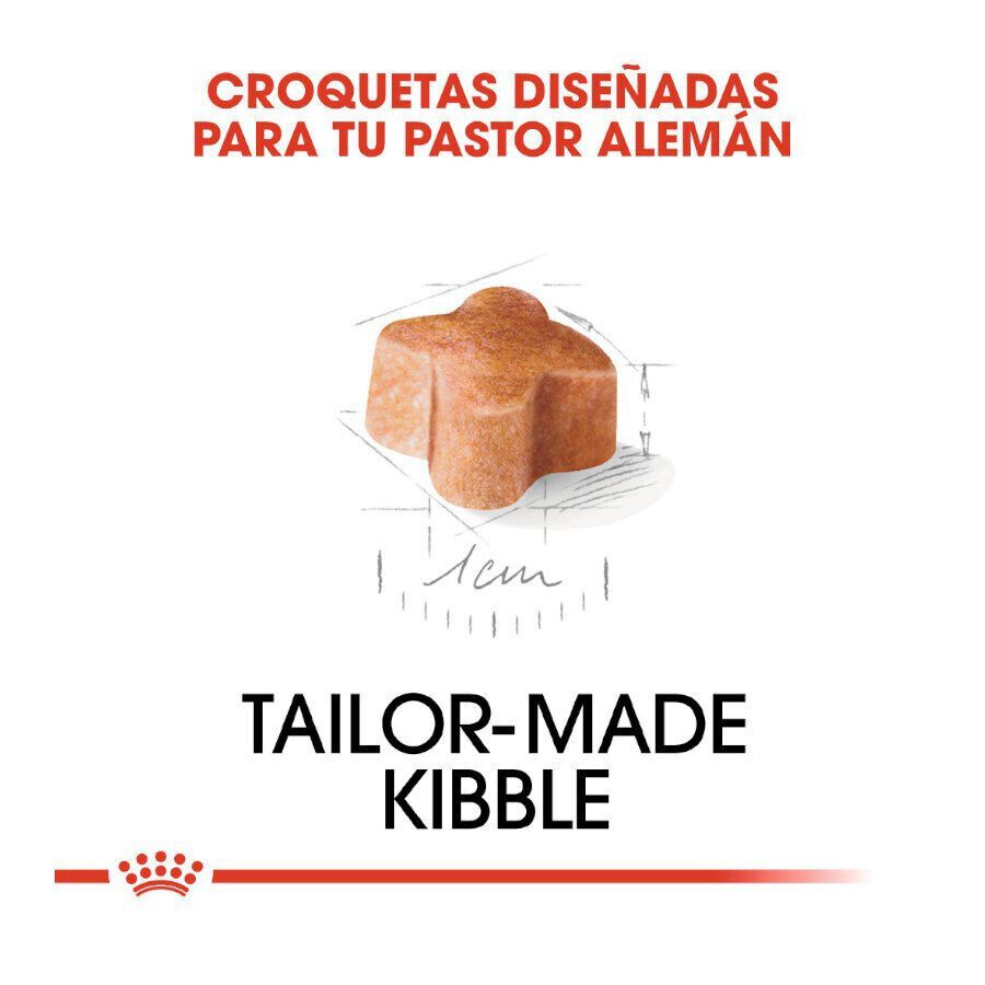 12 kg Royal Canin Puppy Pastor Alem&aacute;n pienso para perros, , large Imagen numero 5