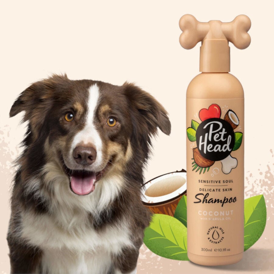 Pet Head champ&uacute; piel sensible de coco para perros, , large indicador imagen numero 3