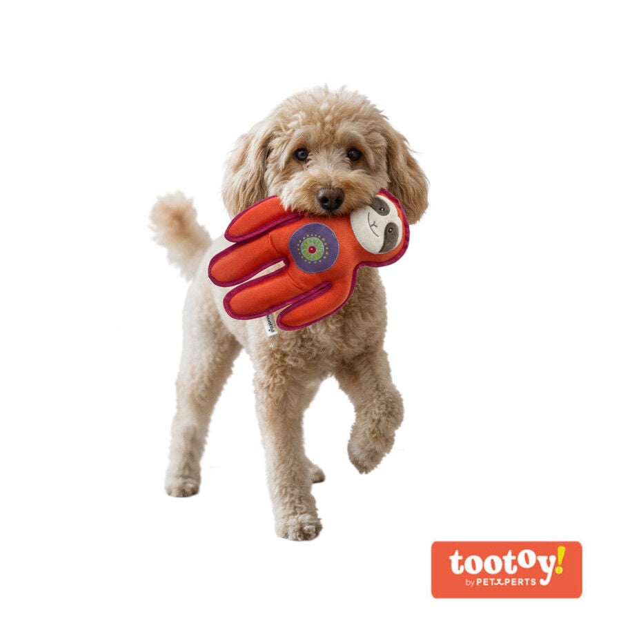 Tootoy! Perezoso Mordedor de Peluche Resistente para perros