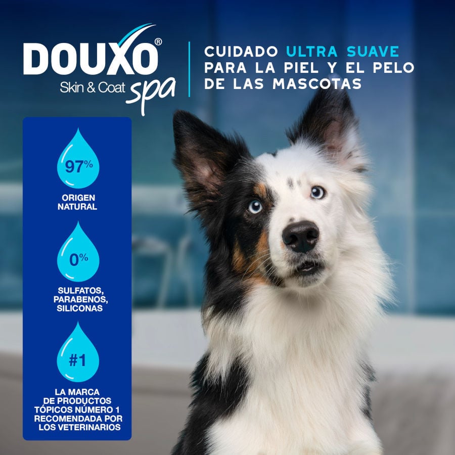 Ceva Douxo Spa Mousse Limpiador Expr&eacute;s para perros, , large indicador imagen numero 2
