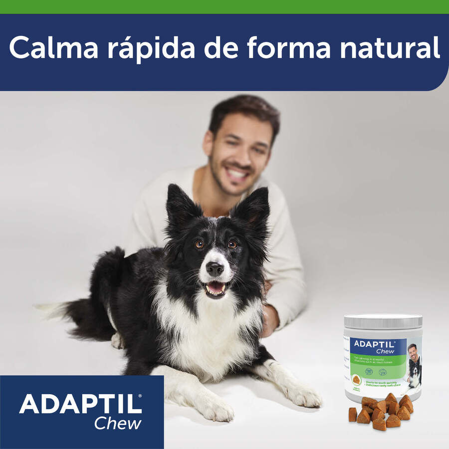 30 comprimidos Adaptil Chew Relajante en comprimidos para perros, , large Imagen numero 6