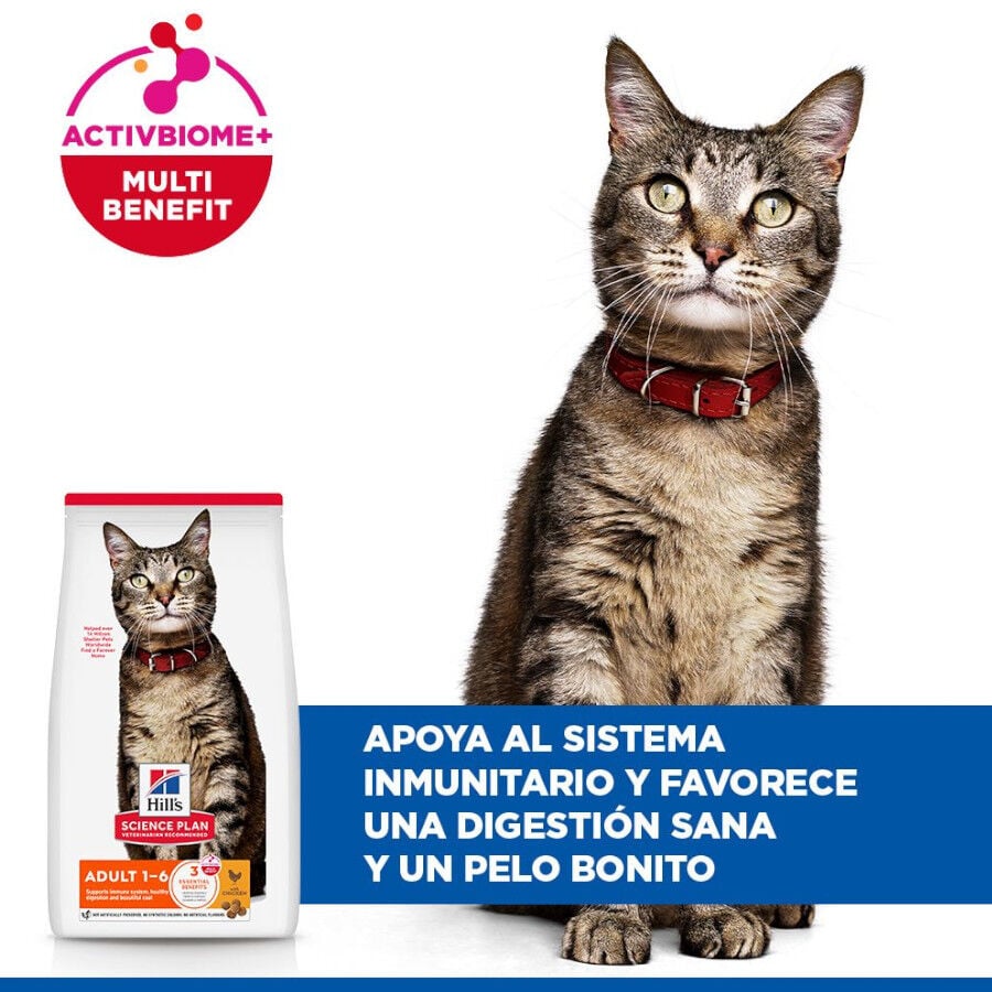 10 kg Hill's Science Plan Adult Pollo pienso para gatos, , large Imagen numero 3