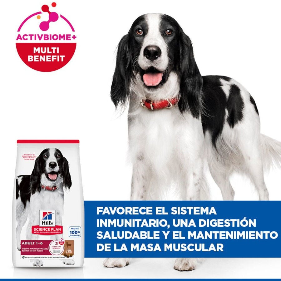 18 kg Hill's Science Plan Adult Medium Cordero y Arroz pienso para perros, , large indicador imagen numero 4
