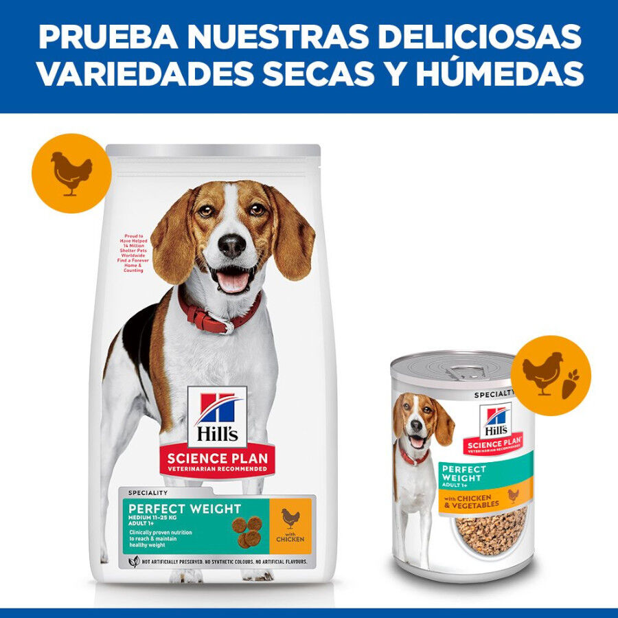 12 kg Hill's Science Plan Perfect Weight Adult Medium Pollo pienso para perros, , large Imagen numero 6