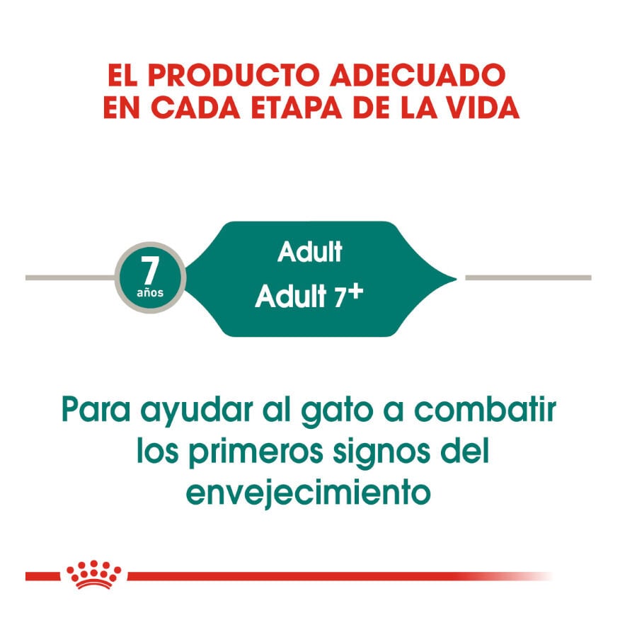 85 g Royal Canin Senior 7+ Instinctive sobres para gatos, , large Imagen numero 6