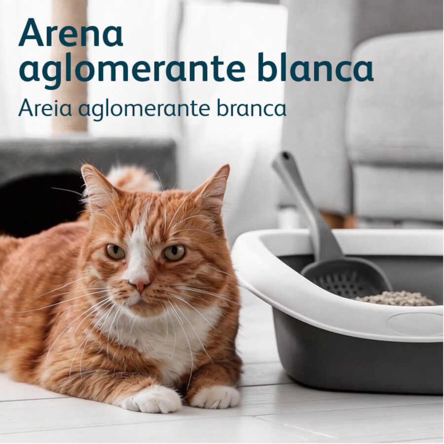 10 L Nova Clean Ultra Lecho Aglomerante Carb&oacute;n para gatos, , large indicador imagen numero 6