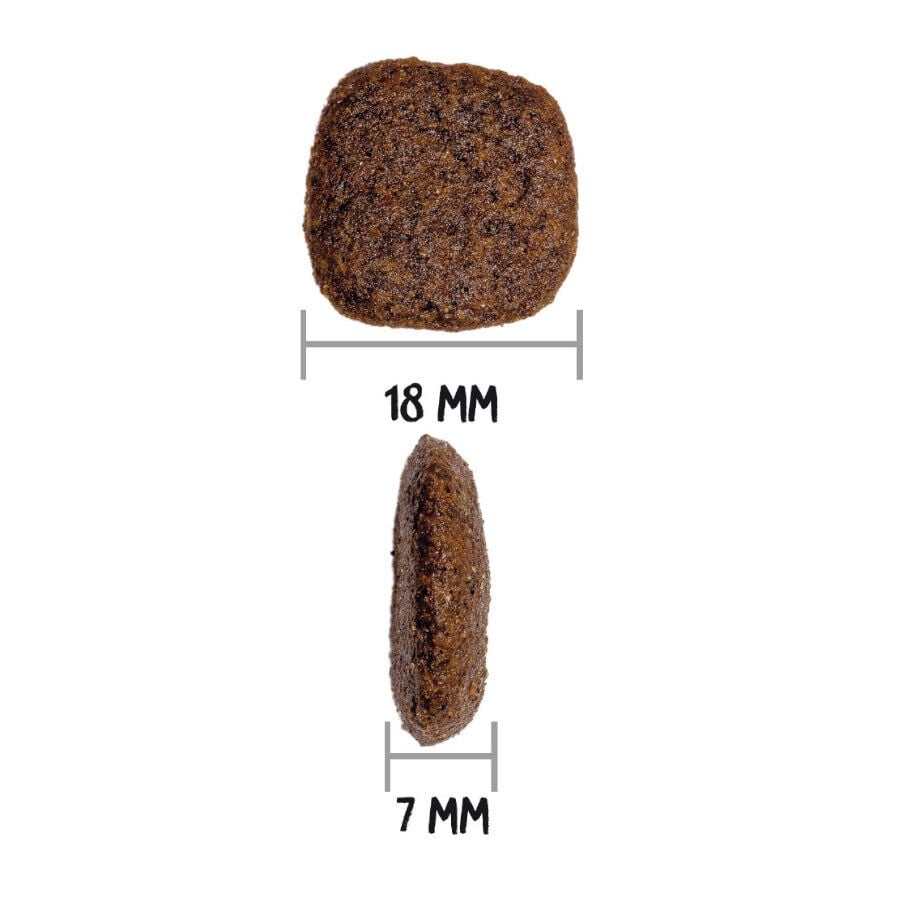 12 kg Ownat Maxi Junior Ultra Pollo y Pavo pienso para cachorros, , large Imagen numero 4