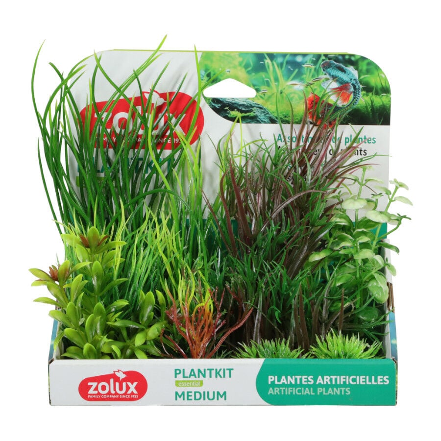 Zolux Plankit Mediano plantas artificiales para acuarios