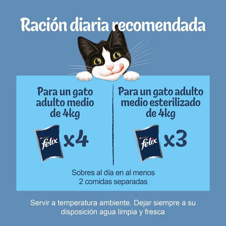 4 sobres x 85 g Felix Seleccion Pescados Sobres en gelatina para gatos - Multipack, , large Imagen numero 3