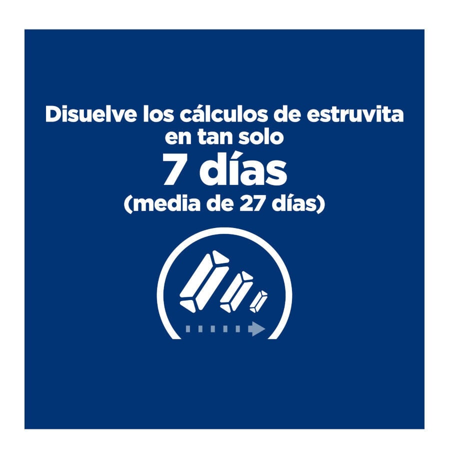 12 sobres x 85 g Hill's Prescription Diet Urinary Care c/d Pollo sobre para gatos, , large Imagen numero 14