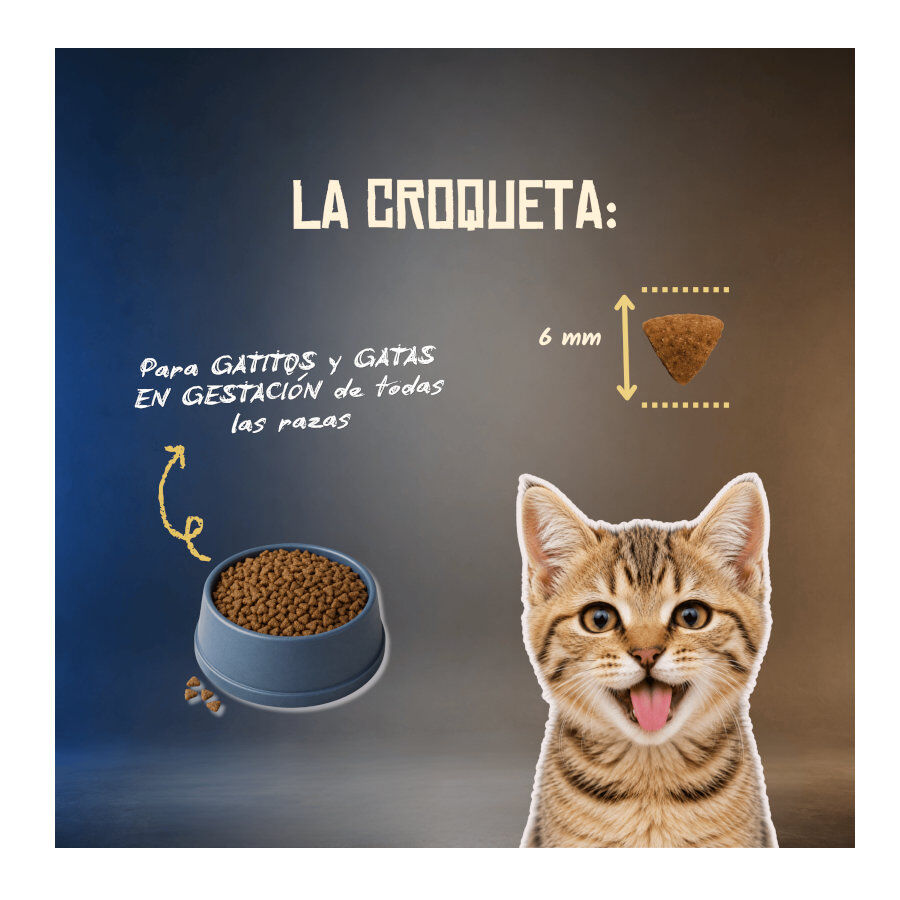 2 Kg Lenda Grain Free Conejo, Cerdo y At&uacute;n Kitten pienso para gatos, , large indicador imagen numero 6