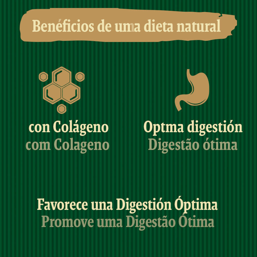 1 ud. True Origins Digestion Chewing Sticks Snack para perros, , large indicador imagen numero 5