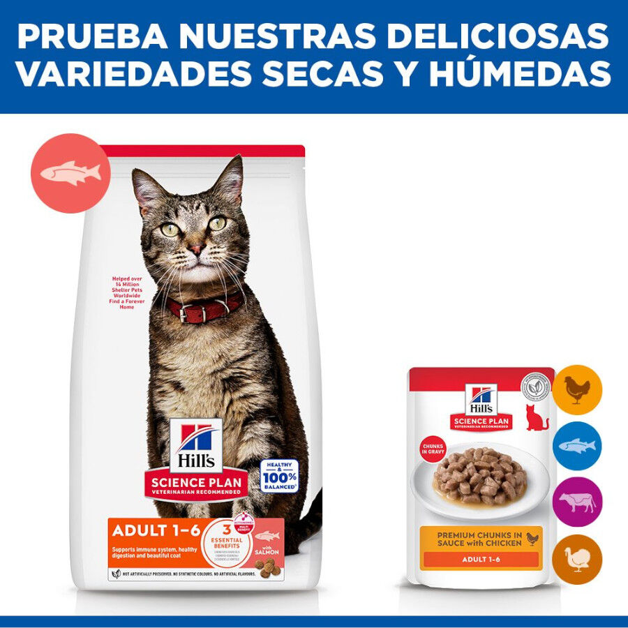 10 kg Hill's Science Plan Adult Pienso Salm&oacute;n para gatos, , large Imagen numero 8