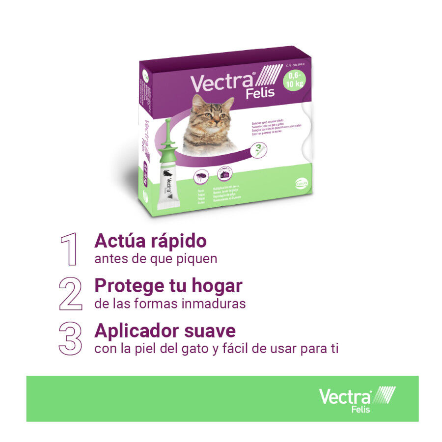 Vectra Felis Pipetas Antiparasitarias para gatos - Pack 3, , large Imagen numero 5